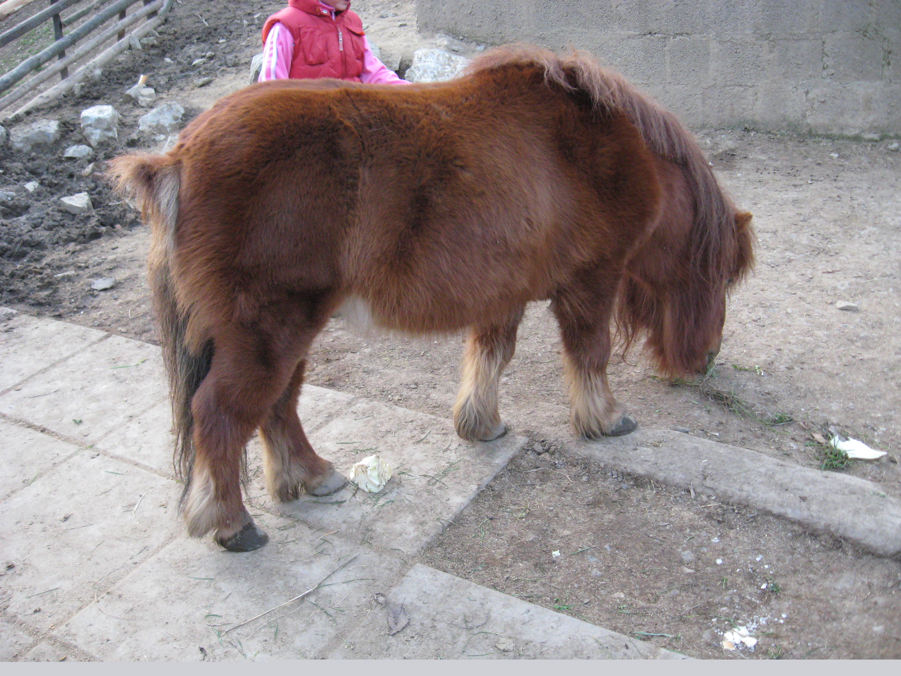 neděle v eldu 006.jpg